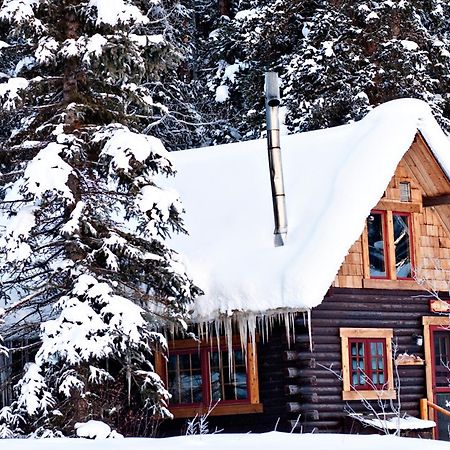 Pioneer Guest Cabins Crested Butte Kültér fotó