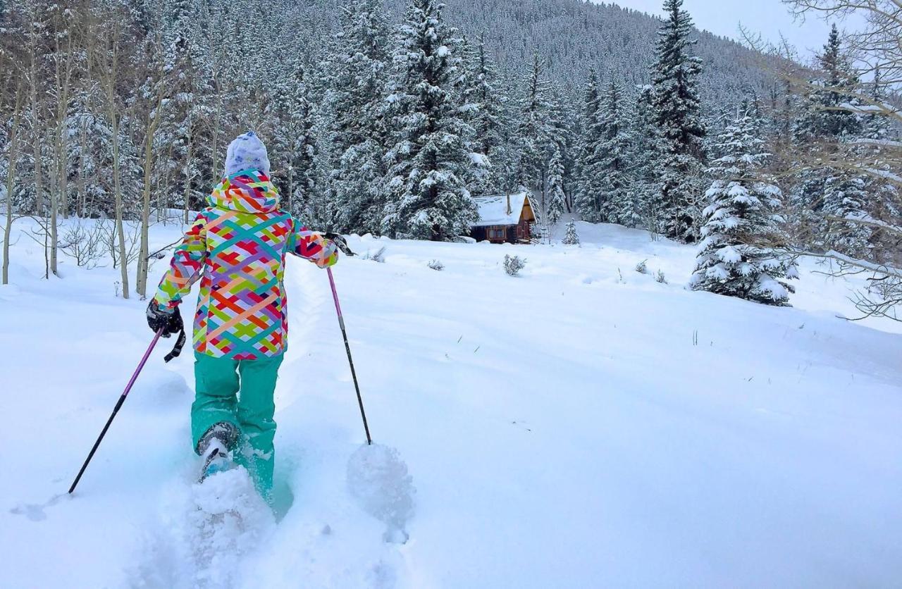 Pioneer Guest Cabins Crested Butte Kültér fotó