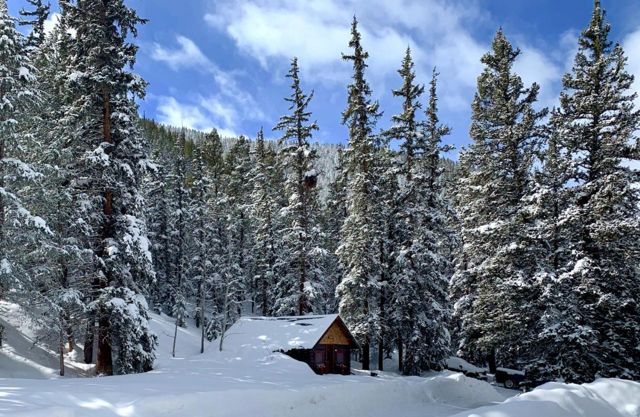 Pioneer Guest Cabins Crested Butte Kültér fotó