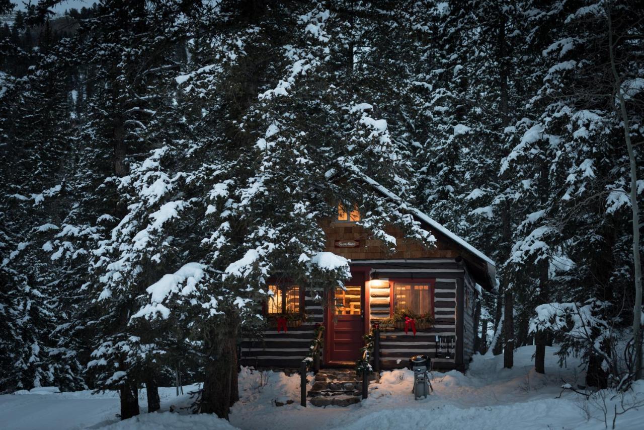 Pioneer Guest Cabins Crested Butte Kültér fotó