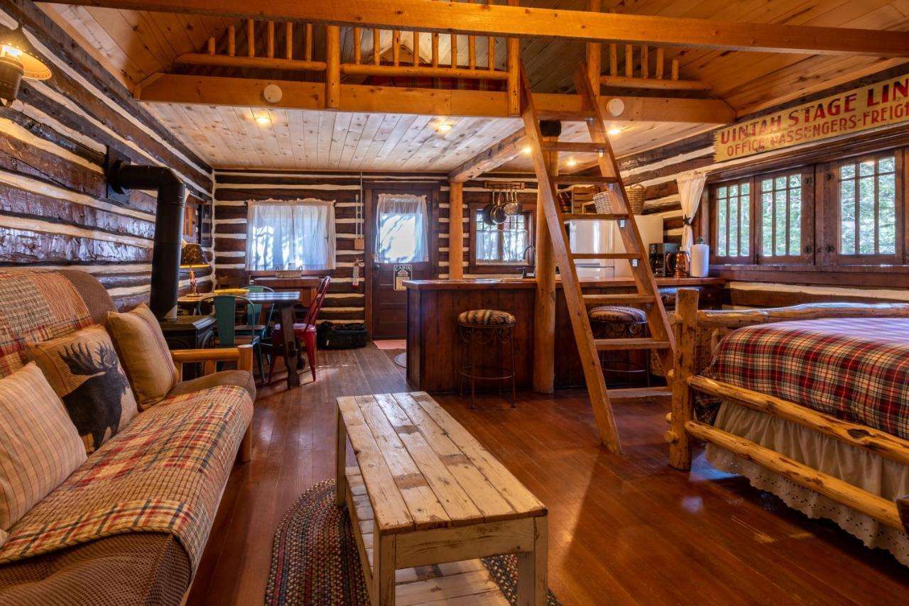 Pioneer Guest Cabins Crested Butte Kültér fotó