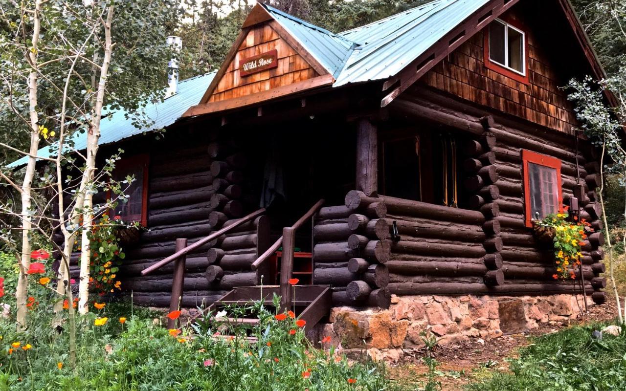 Pioneer Guest Cabins Crested Butte Kültér fotó