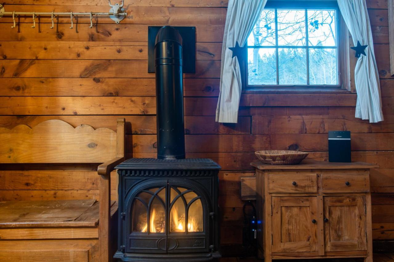 Pioneer Guest Cabins Crested Butte Kültér fotó