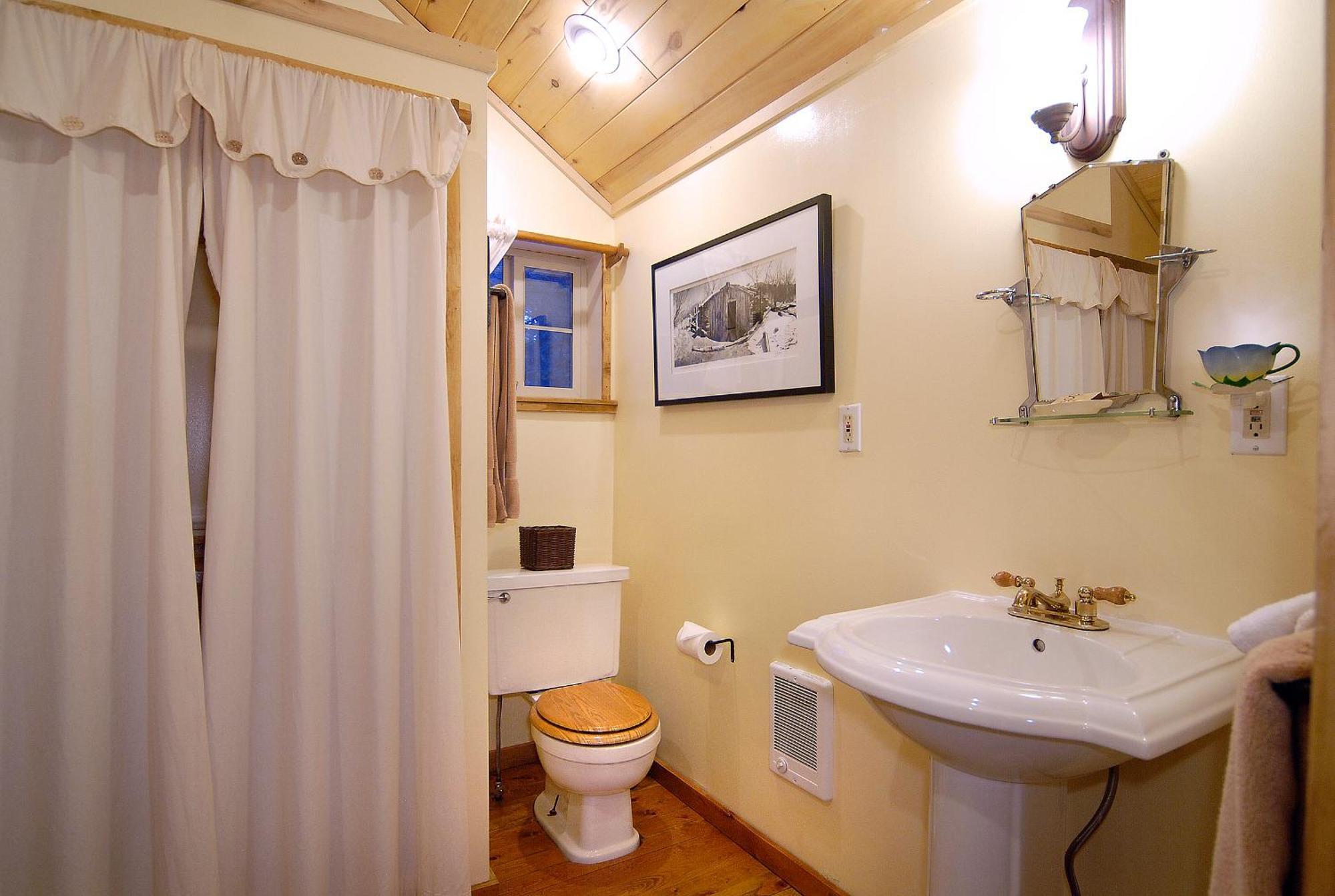 Pioneer Guest Cabins Crested Butte Kültér fotó